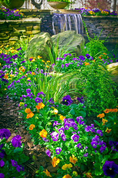 Garden and Waterfall by Phil Winter