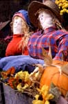 Fall Scene