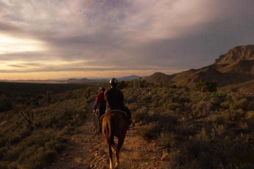 CRW_3714.JPG - Our sunset horseback ride.  It is not easy to handle a camera and stay on the back of a 2000 pound beast that doesn't have a lot of emphathy for you.