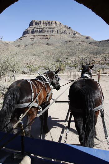 CRW_3859.JPG - When guests arrive by helicopter from Vegas (which happens many times a day in the season), they are met at the heli pad by friendly folk and a covered horse drawn wagon, which takes them about 1/4 mile to the ranch.  This is a shot of Spirit Mountain through the front of the wagon.